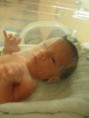 /album/fotos/pedrinho-maternidade-2009-32-jpg/